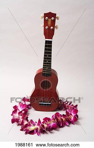 Stock Image - Studio Shot Of An Ukulele With An Orchid Lei Around It On A White Background.. Fotosearch