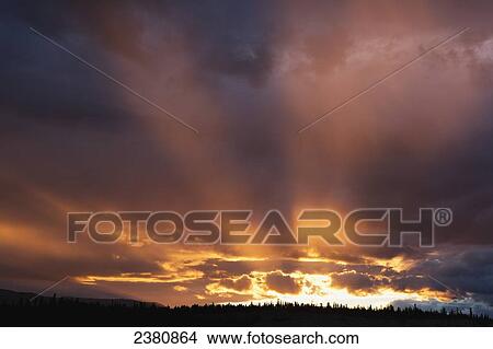 Picture - Sunbeams shining from clouds and silhouette of forest; Whitehorse, Yukon, Canada. Fotosearch