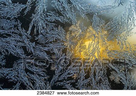 Stock Photo - Sunlight shining through a window covered in frost; Ontario, Canada. Fotosearch