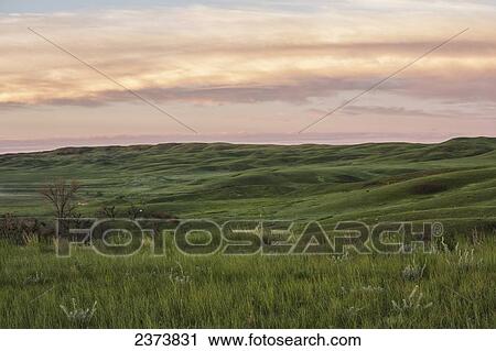 Sunrise in Grasslands National Park; Saskatchewan, Canada View Large Photo Image Stock Image - Sunrise in Grasslands National Park; Saskatchewan, Canada. Fotosearch