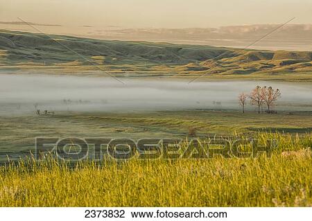Sunrise with fog in the valleys, Grasslands National Park; Saskatchewan, Canada View Large Photo Image Stock Image - Sunrise with fog in the valleys, Grasslands National Park; Saskatchewan, Canada. Fotosearch