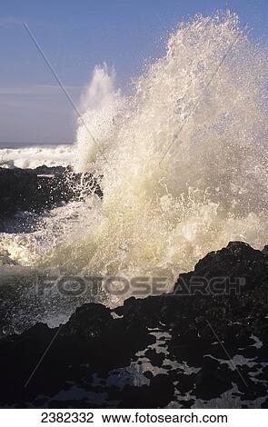 Stock Image - Surf breaks on the rocks at Cape Perpetua on the Oregon, coast; Yachats, Oregon, United States of America. Fotosearch