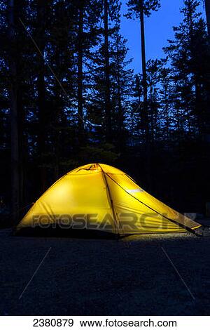 Tent in the woods at night glowing with deep dark blue sky; Lake Louise, Alberta, Canada View Large Photo Image Stock Photo - Tent in the woods at night glowing with deep dark blue sky; Lake Louise, Alberta, Canada. Fotosearch