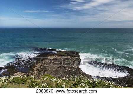 Stock Image - The Catlins; South Island, New Zealand. Fotosearch
