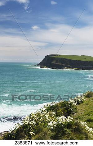 Stock Image - The Catlins; South Island, New Zealand. Fotosearch