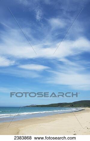 The Catlins; South Island, New Zealand View Large Photo Image Stock Photo - The Catlins; South Island, New Zealand. Fotosearch