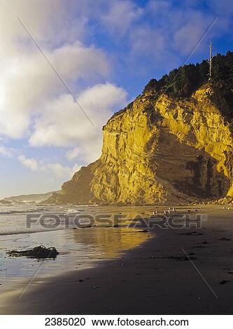 The cliffs glow at Seven Devils States Park Wayside; Charleston, Oregon, United States of America View Large Photo Image Stock Image - The cliffs glow at Seven Devils States Park Wayside; Charleston, Oregon, United States of America . Fotosearch