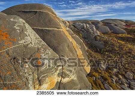 Stock Photography - The lichen covered rocks surroundng the landscape of the shoreline, Hudson Bay; Manitoba, Canada. Fotosearch