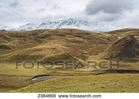 Stock Photo - The meadow of upper Tibet and distant snowy mountains; Tibet, China. Fotosearch
