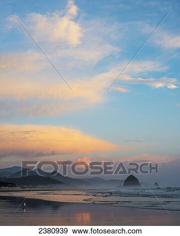 Stock Photo - The Oregon coastline at dusk; Cannon Beach, Oregon, United States of America. Fotosearch