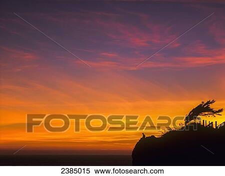 The sky lights up at dusk at Ecola State Park; Cannon Beach, Oregon, United States of America View Large Photo Image Stock Photography - The sky lights up at dusk at Ecola State Park; Cannon Beach, Oregon, United States of America. Fotosearch