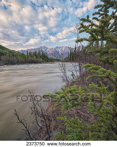 Stock Image - The Wheaton River flows south towards Bennett Lake; Whitehorse, Yukon, Canada. Fotosearch