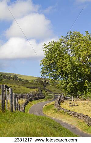 Stock Photo - Thompson Road, a one lane road that winds through Ulupalakua in upcountry Maui; Keokea, Maui, Hawaii, United States of America. Fotosearch