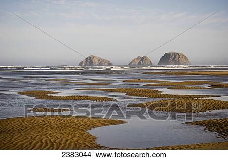 Picture - Three Arch Rocks are viewed from the mouth of Netarts Bay; Netarts, Oregon, United States of America. Fotosearch