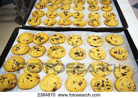 Stock Image - Trays of cookies; Clinton, Maryland, United States of America. Fotosearch