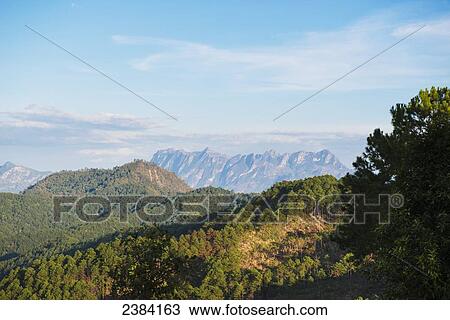 View of the landscape near Chiang Mai; Thailand View Large Photo Image Stock Image - View of the landscape near Chiang Mai; Thailand. Fotosearch