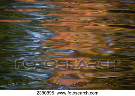 Vine maple and sky reflected in ripples South Fork Hoh side channel; Washington, United States of America View Large Photo Image Stock Photography - Vine maple and sky reflected in ripples South Fork Hoh side channel; Washington, United States of America. Fotosearch