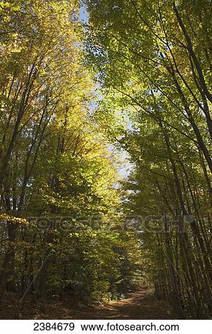 Walking path at Kelso Glen Eden Conservation Area in autumn; Milton, Ontario, Canada View Large Photo Image Stock Photo - Walking path at Kelso Glen Eden Conservation Area in autumn; Milton, Ontario, Canada. Fotosearch