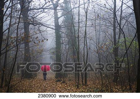 Stock Image - Walking through the forest in the rain; Ascona, Ticino, Switzerland. Fotosearch