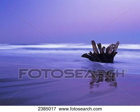 Waves break on the beach at dawn; Winchester Bay, Oregon, United States of America View Large Photo Image Stock Photo - Waves break on the beach at dawn; Winchester Bay, Oregon, United States of America. Fotosearch