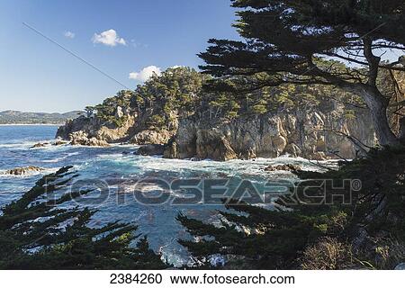 Stock Image - Waves breaking against cliffs bordering Cypress Cove with Monterey Cypress trees in foreground, Point Lobos State Reserve; Carmel, California, United States of America. Fotosearch