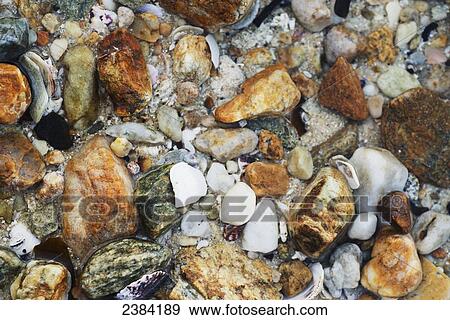 Wet rocks and small seashells in the tide; Koh Samet Island, Thailand View Large Photo Image Stock Photo - Wet rocks and small seashells in the tide; Koh Samet Island, Thailand. Fotosearch