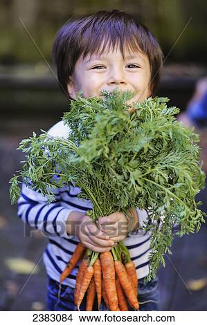 Young boy holding a bunch of organic carrots; Montreal, Quebec, Canada View Large Photo Image Picture - Young boy holding a bunch of organic carrots; Montreal, Quebec, Canada. Fotosearch