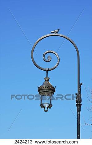 A bird perches on the top of an ornate lamp post in Place des Vosges; Paris, France View Large Photo Image Stock Image - A bird perches on the top of an ornate lamp post in Place des Vosges; Paris, France. Fotosearch