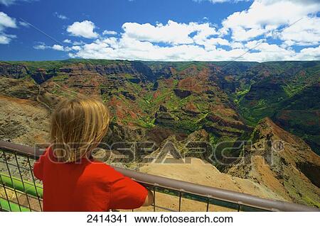 A child looks over a railing at Waimea Canyon; Kauai, Hawaii, United States of America View Large Photo Image Stock Image - A child looks over a railing at Waimea Canyon; Kauai, Hawaii, United States of America. Fotosearch