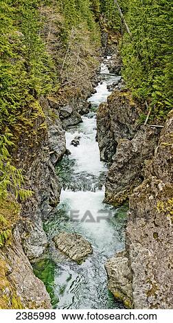 A creek flowing through a deep canyon; British Columbia, Canada View Large Photo Image Stock Photo - A creek flowing through a deep canyon; British Columbia, Canada. Fotosearch