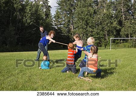 A family has a tug of war in a park with parents against their children; Stony Plain, Alberta, Canada View Large Photo Image Picture - A family has a tug of war in a park with parents against their children; Stony Plain, Alberta, Canada. Fotosearch