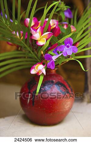 A flower arrangement in a small red vase; Ulpotha, Embogama, Sri Lanka View Large Photo Image Stock Photograph - A flower arrangement in a small red vase; Ulpotha, Embogama, Sri Lanka. Fotosearch