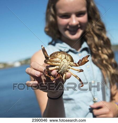 Stock Photograph - A girl holds up a crab; Twillingate, Newfoundland and Labrador, Canada. Fotosearch