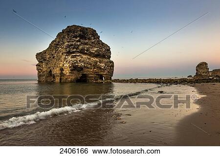 A large rock formation on the coast at sunset; South Shields, Tyne and Wear, England View Large Photo Image Stock Photograph - A large rock formation on the coast at sunset; South Shields, Tyne and Wear, England. Fotosearch