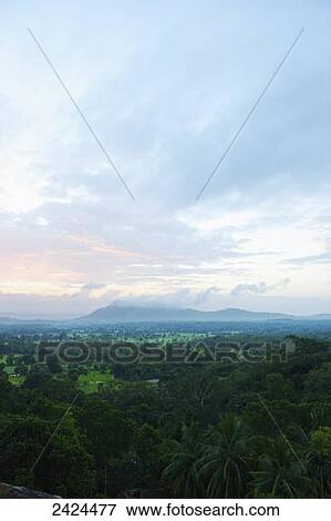 Stock Photo - A lush landscape of palm trees with mountains in the distance; Ulpotha, Embogama, Sri Lanka. Fotosearch