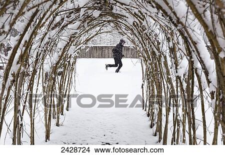 A man runs through the snow in a garden with a willow trellis in Cowichan Bay on Vancouver Island; Duncan, British Columbia, Canada View Large Photo Image Picture - A man runs through the snow in a garden with a willow trellis in Cowichan Bay on Vancouver Island; Duncan, British Columbia, Canada. Fotosearch