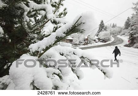 A man walks along a snowy road in Cowichan Bay on Vancouver Island; Duncan, British Columbia, Canada View Large Photo Image Stock Image - A man walks along a snowy road in Cowichan Bay on Vancouver Island; Duncan, British Columbia, Canada. Fotosearch