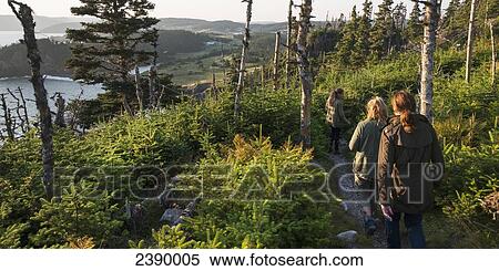 A mother and her daughters walk down a trail along the atlantic coast; Newfoundland and Labrador, Canada View Large Photo Image Stock Photography - A mother and her daughters walk down a trail along the atlantic coast; Newfoundland and Labrador, Canada. Fotosearch