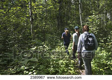 A mother and two daughters hiking in a forest in Riding Mountain National Park; Manitoba, Canada View Large Photo Image Stock Photo - A mother and two daughters hiking in a forest in Riding Mountain National Park; Manitoba, Canada . Fotosearch