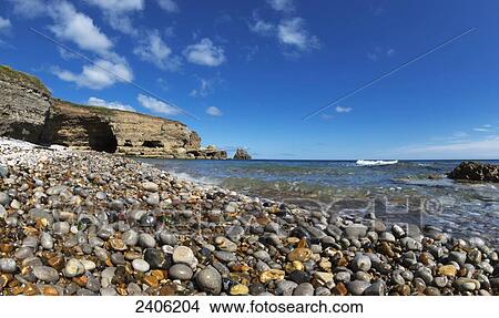 A peddle beach and cliffs along the coast; South Shields, Tyne and Wear, England View Large Photo Image Picture - A peddle beach and cliffs along the coast; South Shields, Tyne and Wear, England. Fotosearch