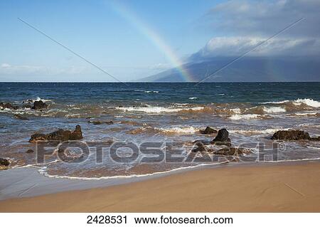 A rainbow forms along Kamaole 3 Beach; Maui, Hawaii, United States of America View Large Photo Image Stock Image - A rainbow forms along Kamaole 3 Beach; Maui, Hawaii, United States of America. Fotosearch