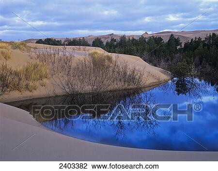 A seasonal pond reflects the sky in Oregon Dunes National Recreation Area; Lakeside, Oregon, United States of America View Large Photo Image Stock Image - A seasonal pond reflects the sky in Oregon Dunes National Recreation Area; Lakeside, Oregon, United States of America. Fotosearch