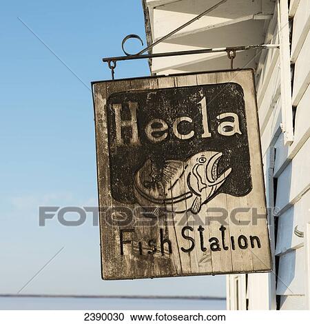 A sign for Hecla Fish Station; Manitoba, Canada View Large Photo Image Stock Image - A sign for Hecla Fish Station; Manitoba, Canada. Fotosearch