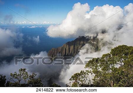 A spectacular view materializes out of the mist; Kalalau, Kauai, Hawaii, United States of America View Large Photo Image Stock Image - A spectacular view materializes out of the mist; Kalalau, Kauai, Hawaii, United States of America. Fotosearch