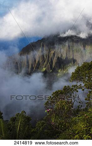 Stock Photo - A spectacular view materializes out of the mist; Kalalau, Kauai, Hawaii, United States of America. Fotosearch