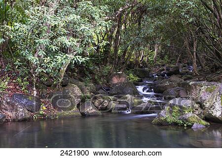 A stream flows down to the beach; Haena, Kauai, Hawaii, United States of America View Large Photo Image Stock Image - A stream flows down to the beach; Haena, Kauai, Hawaii, United States of America. Fotosearch