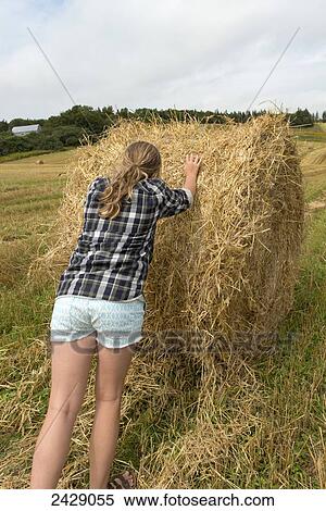 A teenage girl pushes a large hay bale in a farm field; Kensington, Prince Edward Island, Canada View Large Photo Image Stock Photography - A teenage girl pushes a large hay bale in a farm field; Kensington, Prince Edward Island, Canada. Fotosearch