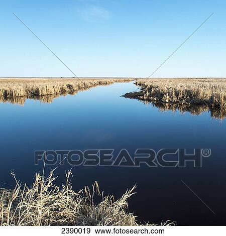 A tranquil river through a flat landscape in Hecla-Grindstone Provincial Park; Manitoba, Canada View Large Photo Image Stock Photo - A tranquil river through a flat landscape in Hecla-Grindstone Provincial Park; Manitoba, Canada. Fotosearch