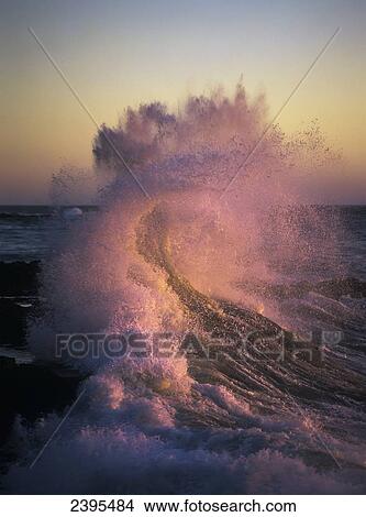 A wave glowing pink breaks on the shore at sunset; Yachats, Oregon, United States of America View Large Photo Image Picture - A wave glowing pink breaks on the shore at sunset; Yachats, Oregon, United States of America. Fotosearch