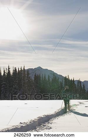 A woman cross country skiing in deep snow; Banff, Alberta, Canada View Large Photo Image Stock Photo - A woman cross country skiing in deep snow; Banff, Alberta, Canada. Fotosearch